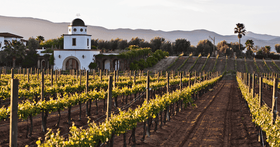 Valle de Guadalupe Mexico insurance for visitors