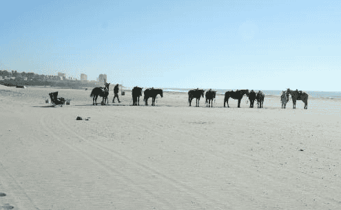 Rosarito Beach horseback Mexican car insurance