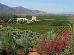 Baja Wine Country Baja Wine Country