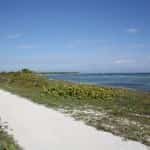 Beach Road at Puulmal Mexican insurance for travel