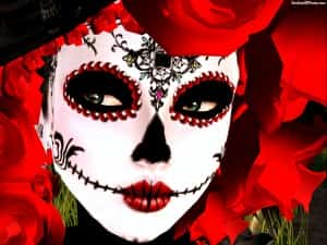 Mexican Insurance Providers