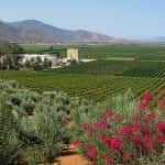 Baja Wine Country Mexico auto insurance for tourists