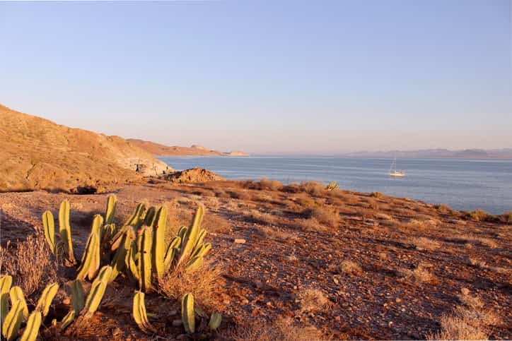 Traveling To Mexico - The Sea of Cortez Is A Must-See for federal highways
