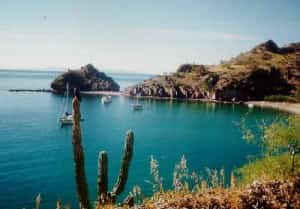 Sea of Cortez Mexican Insurance for Canadians