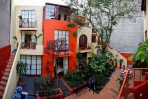 Red Tree House Mexico City Mexico Insurance For Vacation