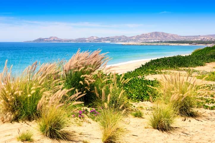 Sea of Cortez Car Insurance For Mexico