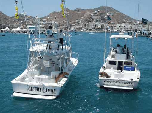 Cabo San Lucas fishing charter Mexico auto insurance